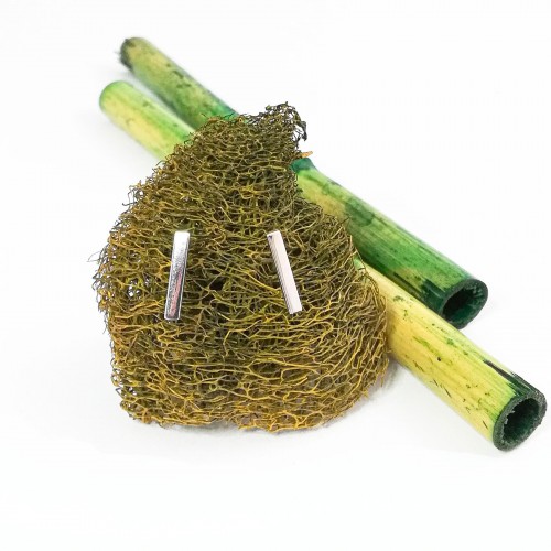 Orecchini Simplicity